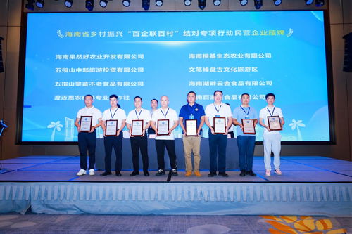 政企村協同共建，海南專項行動引領鄉村振興新篇章——陵水現場會圓滿召開